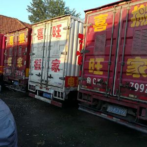 车辆展示